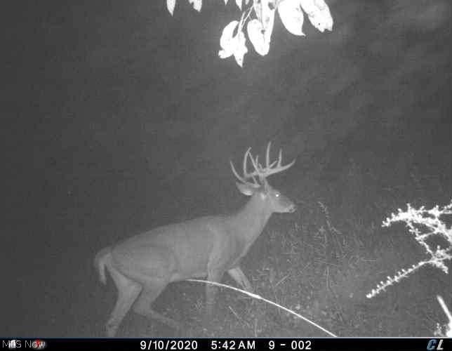 55234 North Star Road Pleasant City, OH 43772 - Photo 10 of 35