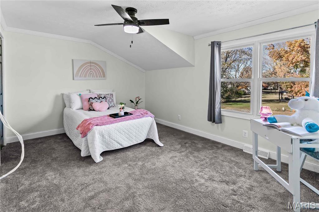 1692 Aloha Drive Worden, IL 62097 - Photo 32 of 55