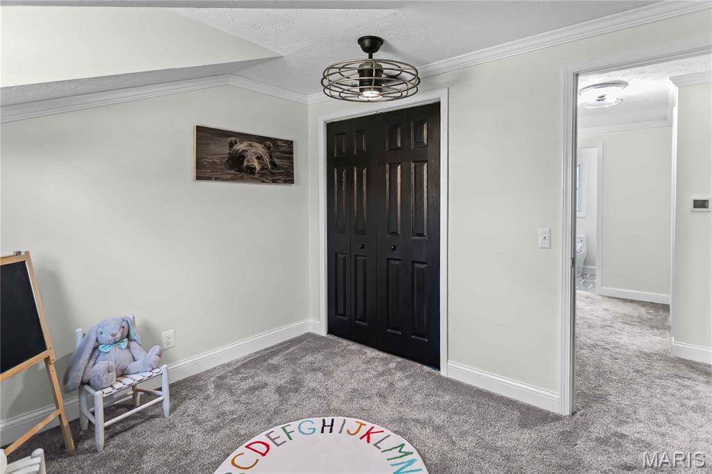 1692 Aloha Drive Worden, IL 62097 - Photo 39 of 55