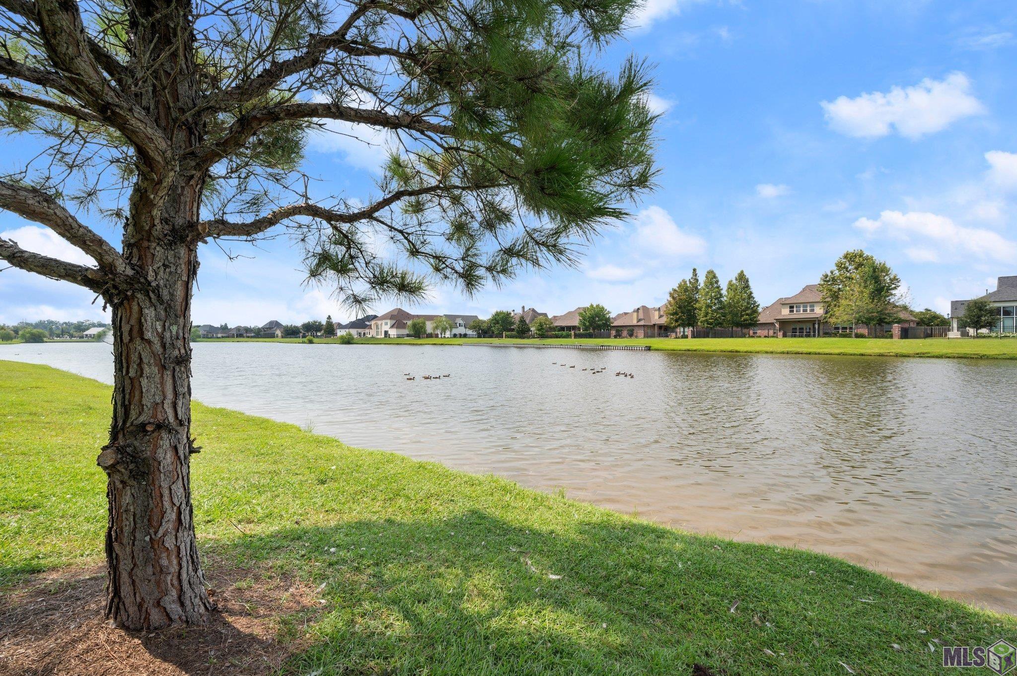 3041 Cypress View Lane Baton Rouge, LA 70810 - Photo 18 of 21 Gallery Image 18