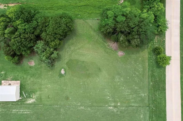 a view of a lush green space