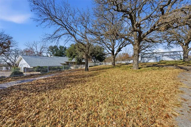 a view of a yard with a tree