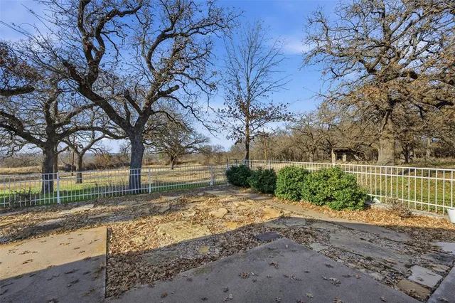 a view of a yard with plants and large trees