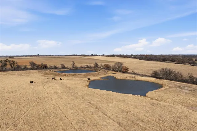 a view of an ocean beach