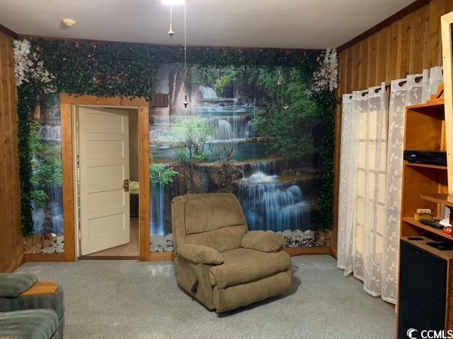 2100 Nesmith Road Nesmith, SC 29580 - Photo 17 of 37 Sitting room featuring wood walls and carpet flooring