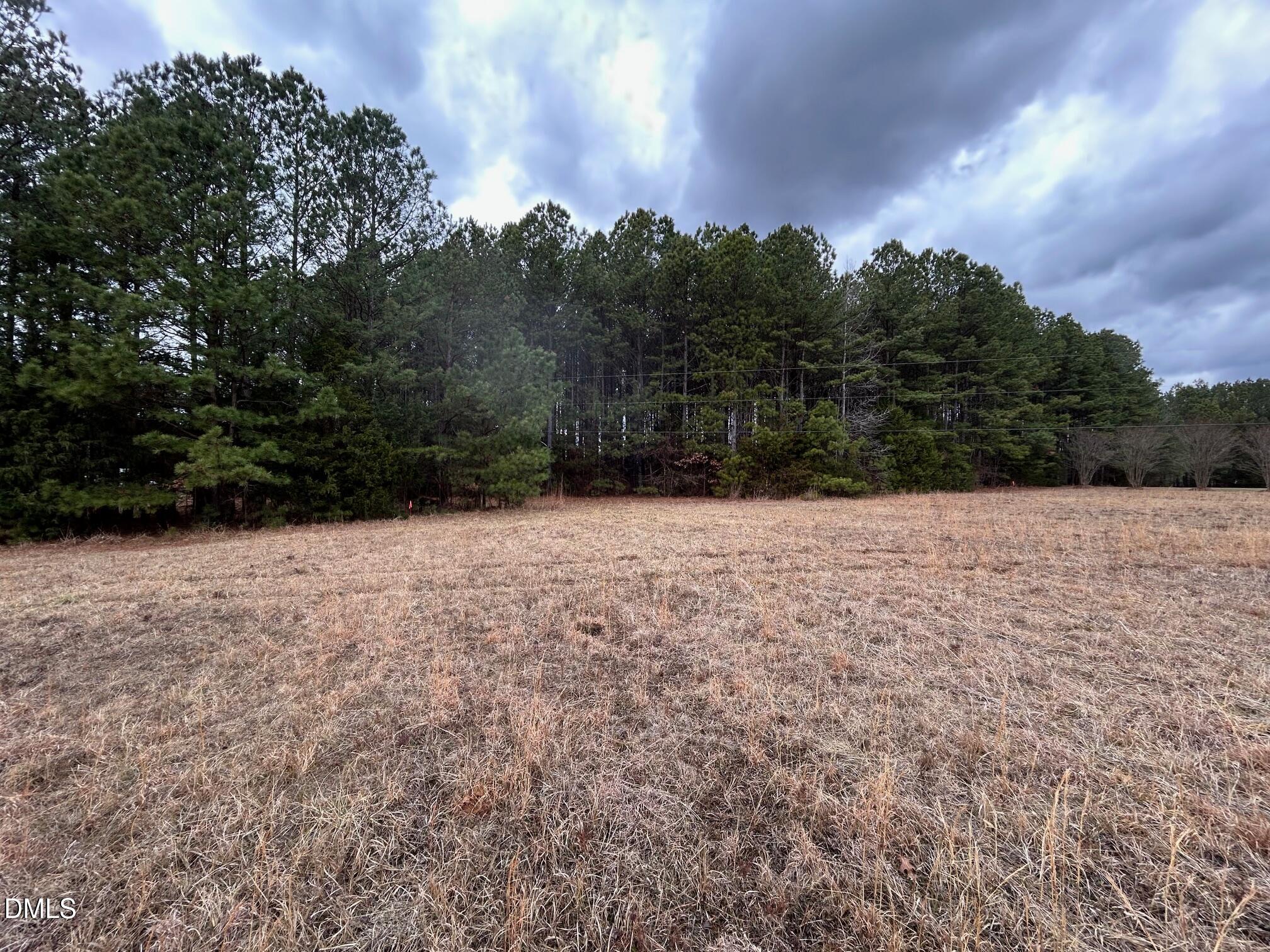 Lot 1 Hight Road Oxford, NC 27565 - Photo 8 of 9 Gallery Image 8