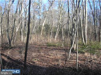 972 Tuckahoe Road Newfield, NJ 08344 - Photo 5 of 11 Gallery Image 5