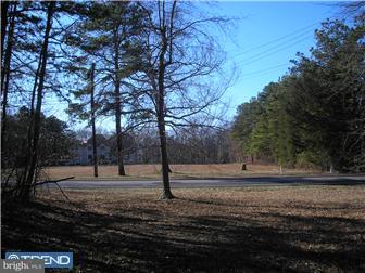 972 Tuckahoe Road Newfield, NJ 08344 - Photo 6 of 11 Gallery Image 6