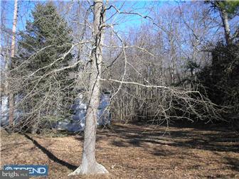 972 Tuckahoe Road Newfield, NJ 08344 - Photo 7 of 11 Gallery Image 7