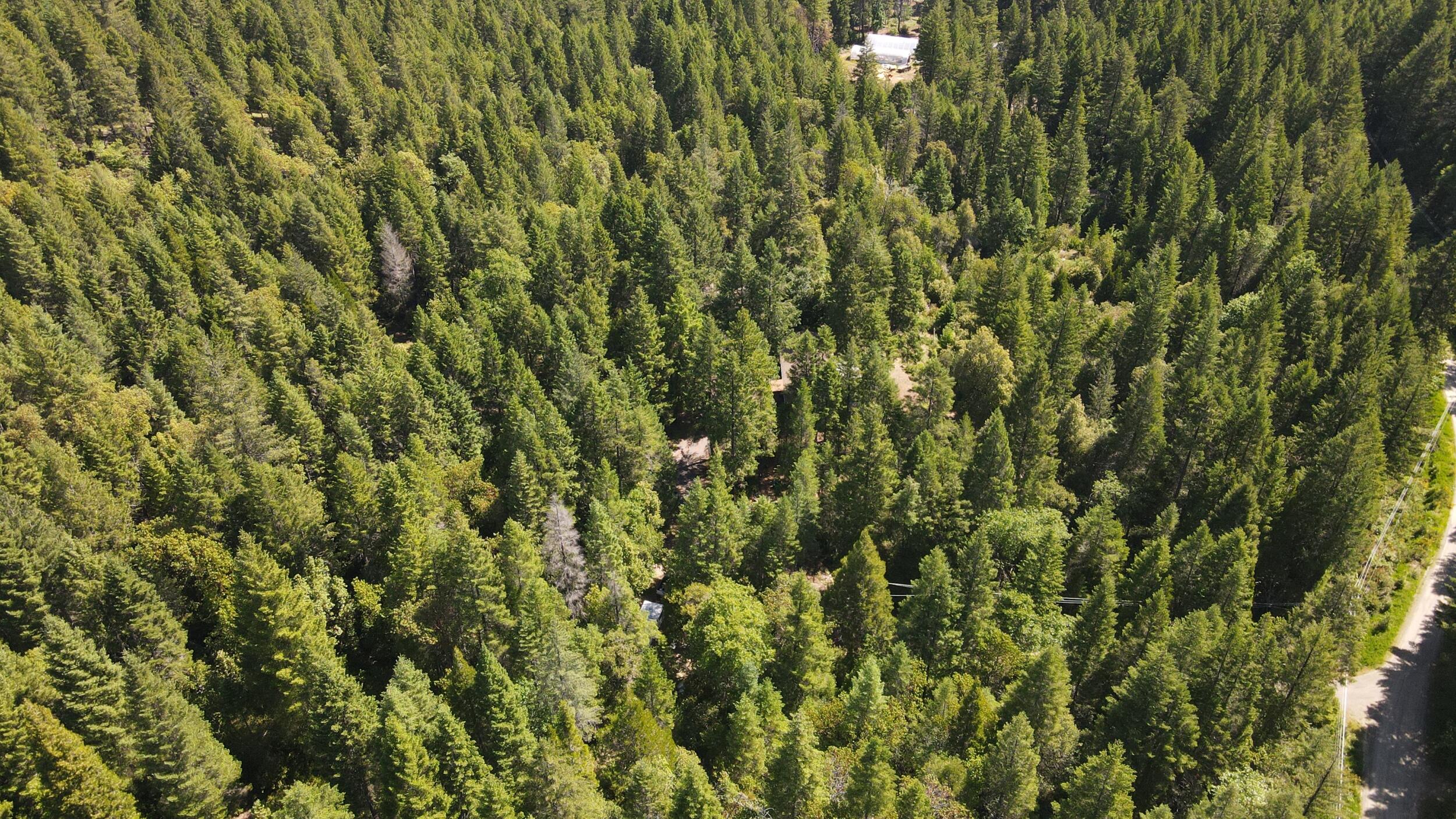 724 3 Mill Road Selma, OR 97538 - Photo 56 of 57 56_dji_0650