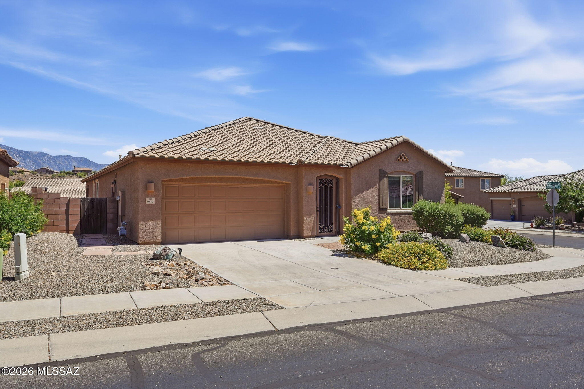 39054 South Running Roses Lane Tucson, AZ 85739 - Photo 2 of 44