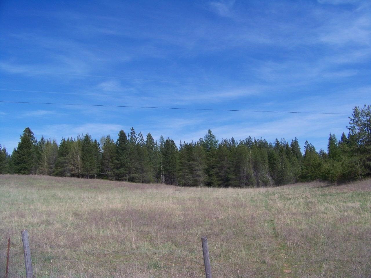 L3 Spring Valley Road Newport, WA 99156 - Photo 13 of 19 Gallery Image 13