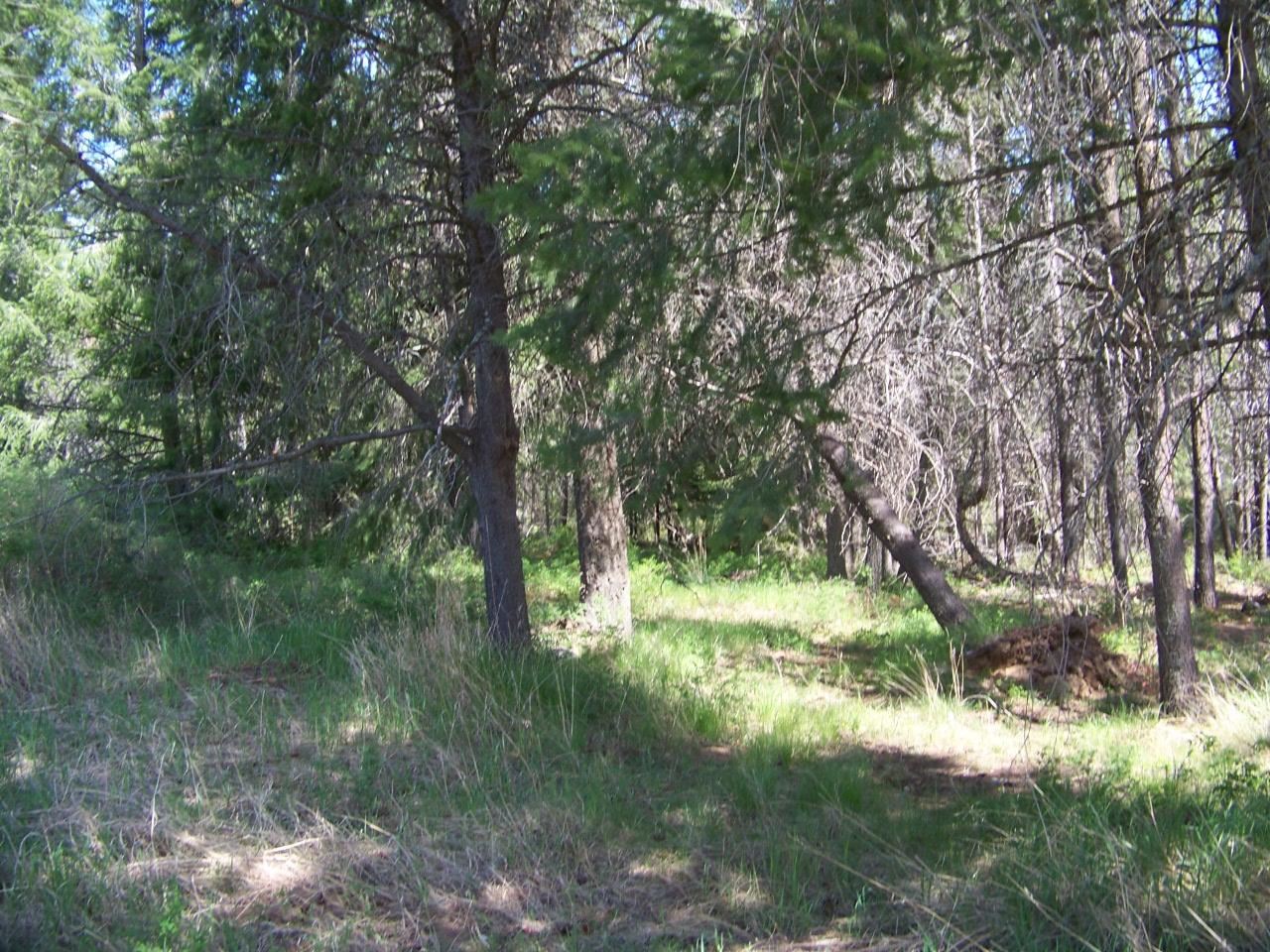 L3 Spring Valley Road Newport, WA 99156 - Photo 14 of 19 Gallery Image 14
