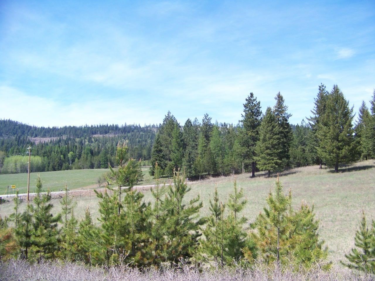 L3 Spring Valley Road Newport, WA 99156 - Photo 10 of 19 Gallery Image 10