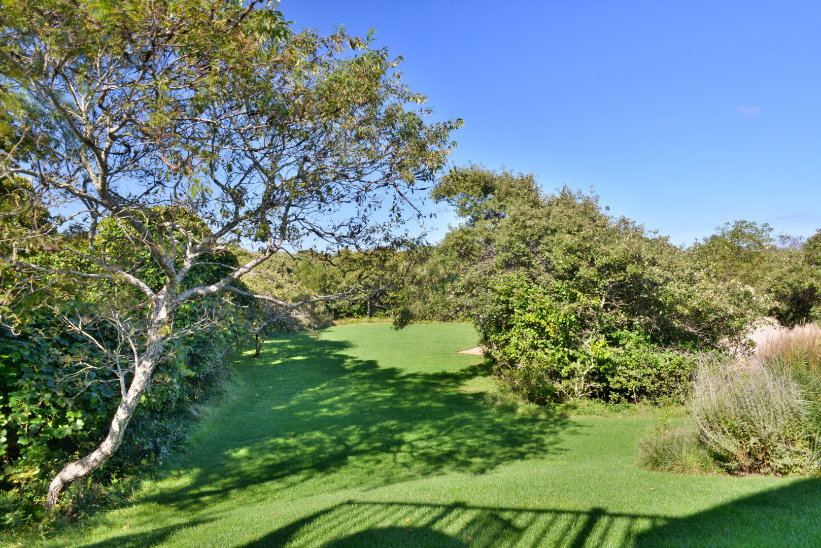 58 Wauwinet Road Nantucket, MA 02554 - Photo 3 of 28 Gallery Image 3