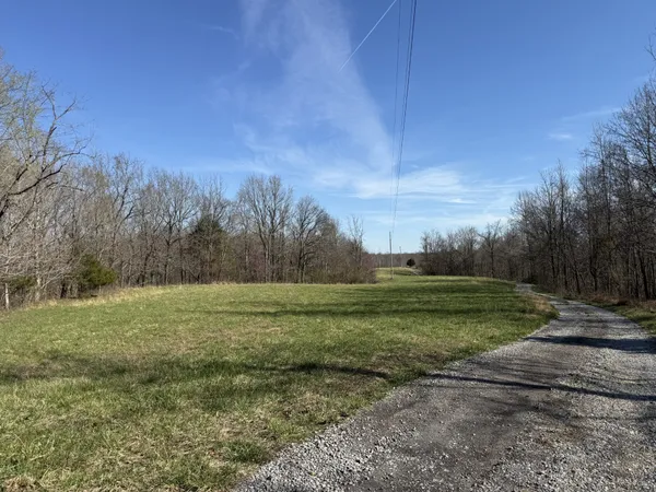 a view of a dry yard with a tree