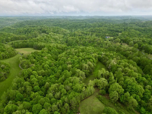 an aerial view of residential houses with outdoor space and trees