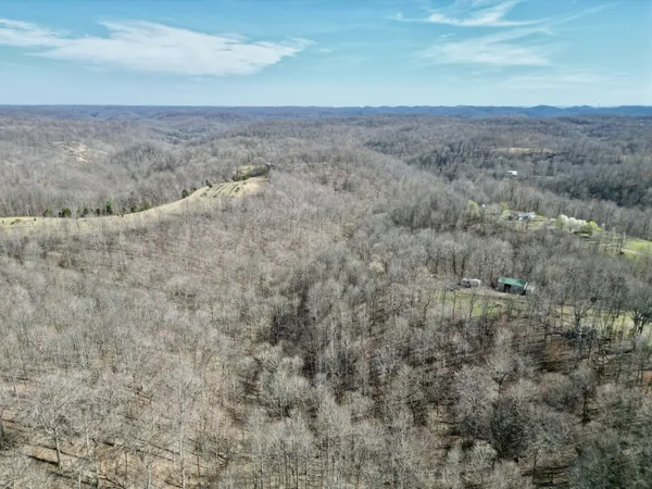 a view of a dry yard with trees