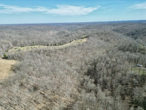 a view of a dry yard
