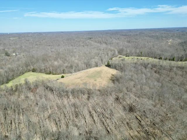a view of an outdoor space and a yard