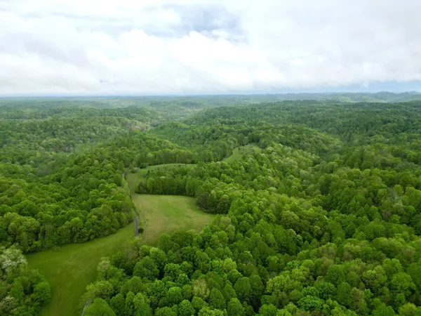 an aerial view of residential houses with outdoor space and trees