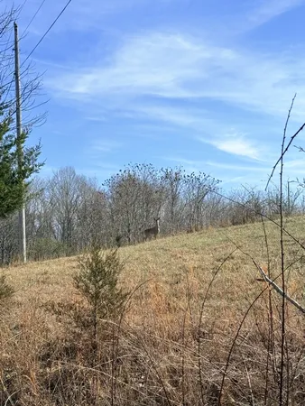 a view of a field and mountains in the background