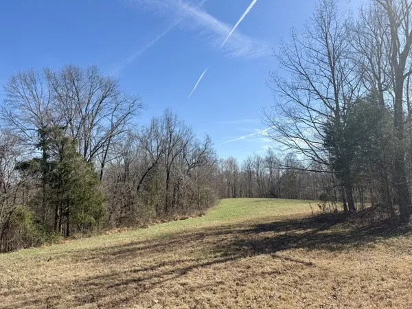 a living room with lots of furniture and a chandelier