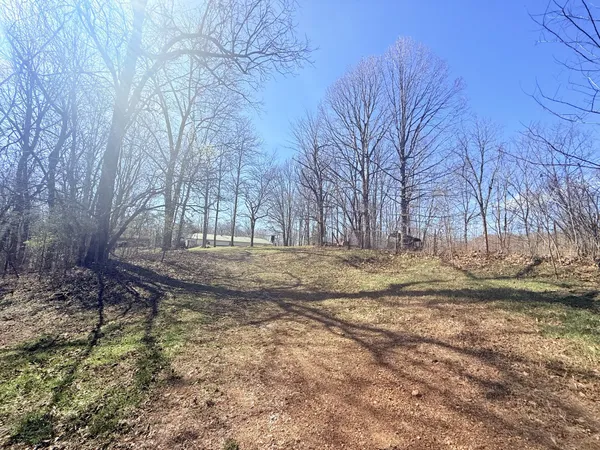 a view of a grassy field with trees
