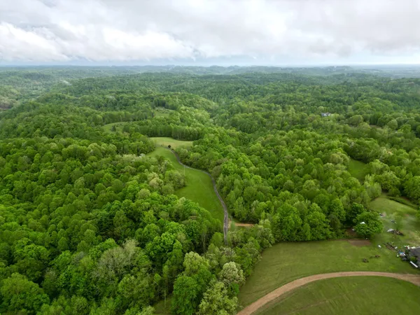 a view of a green field with lots of bushes