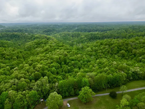 a view of a green field with lots of bushes