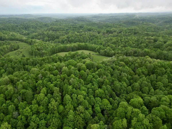 a view of a yard with an outdoor space