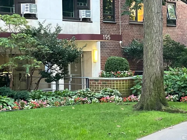 a view of a trees in a yard with large trees