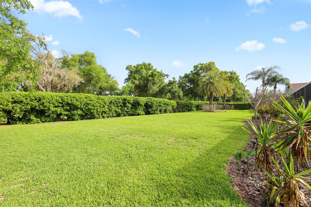 5208 Laurel Pointe Drive Valrico, FL 33596 - Photo 51 of 61 a view of a field with grass
