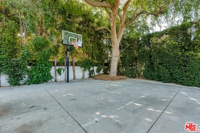a view of a yard with plants