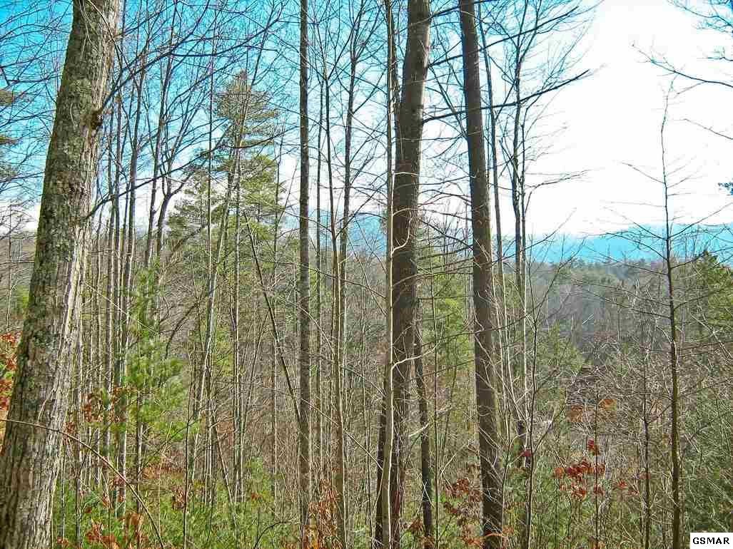10 Hawkview Way Del Rio, TN 37727 - Photo 19 of 26 Gallery Image 19