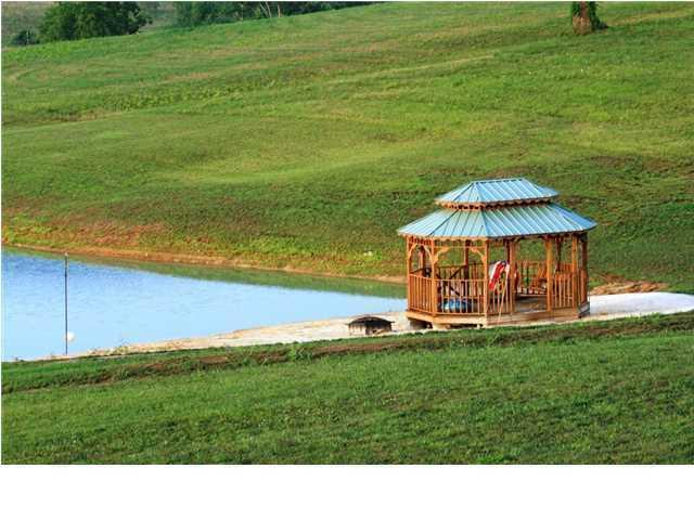 157 Lewis Road Dunlap, TN 37327 - Photo 5 of 35 view 5