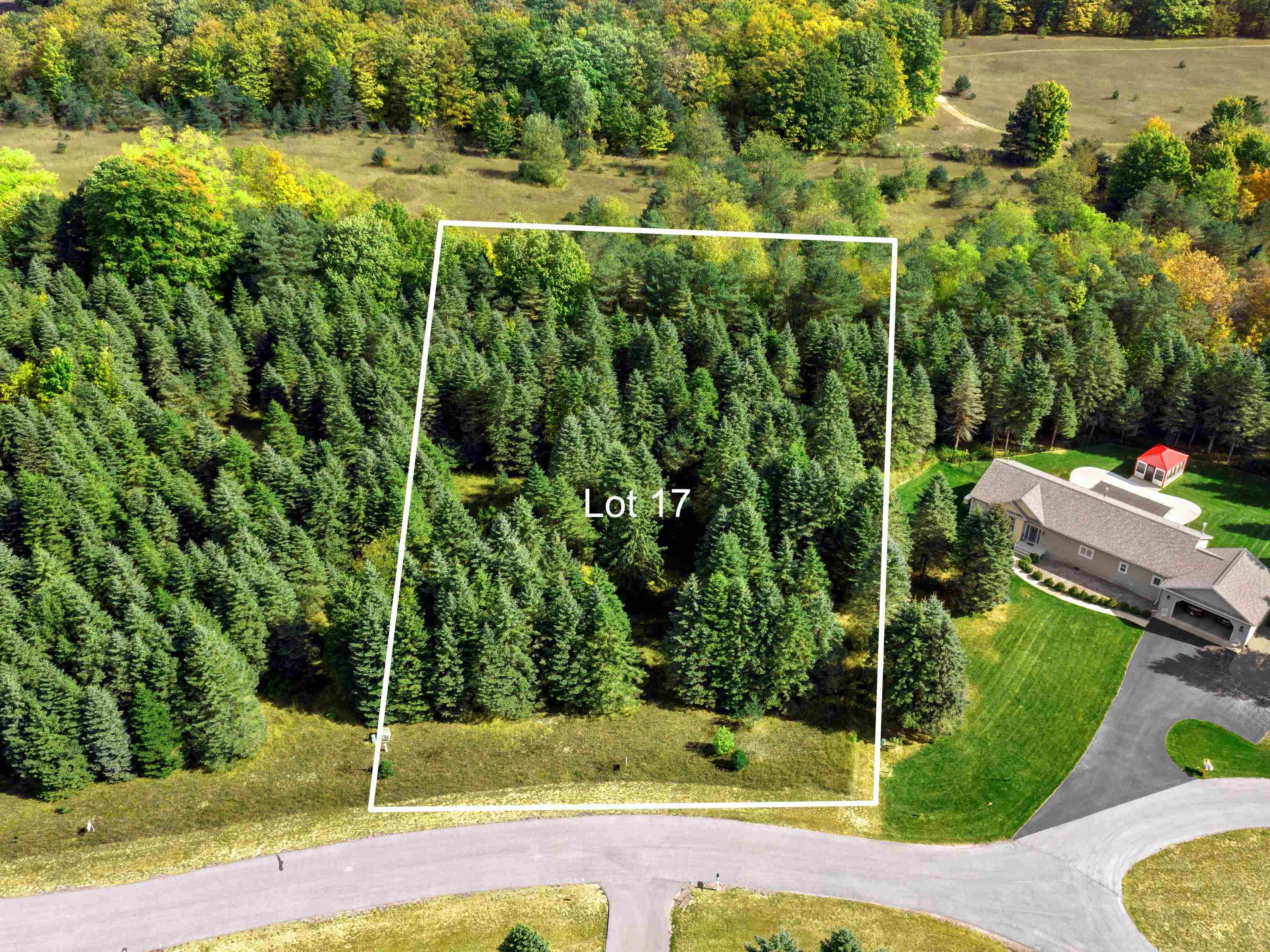 Lot 17 Lipp Farm Road Benzonia, MI 49616 - Photo 1 of 11 Gallery Image 1