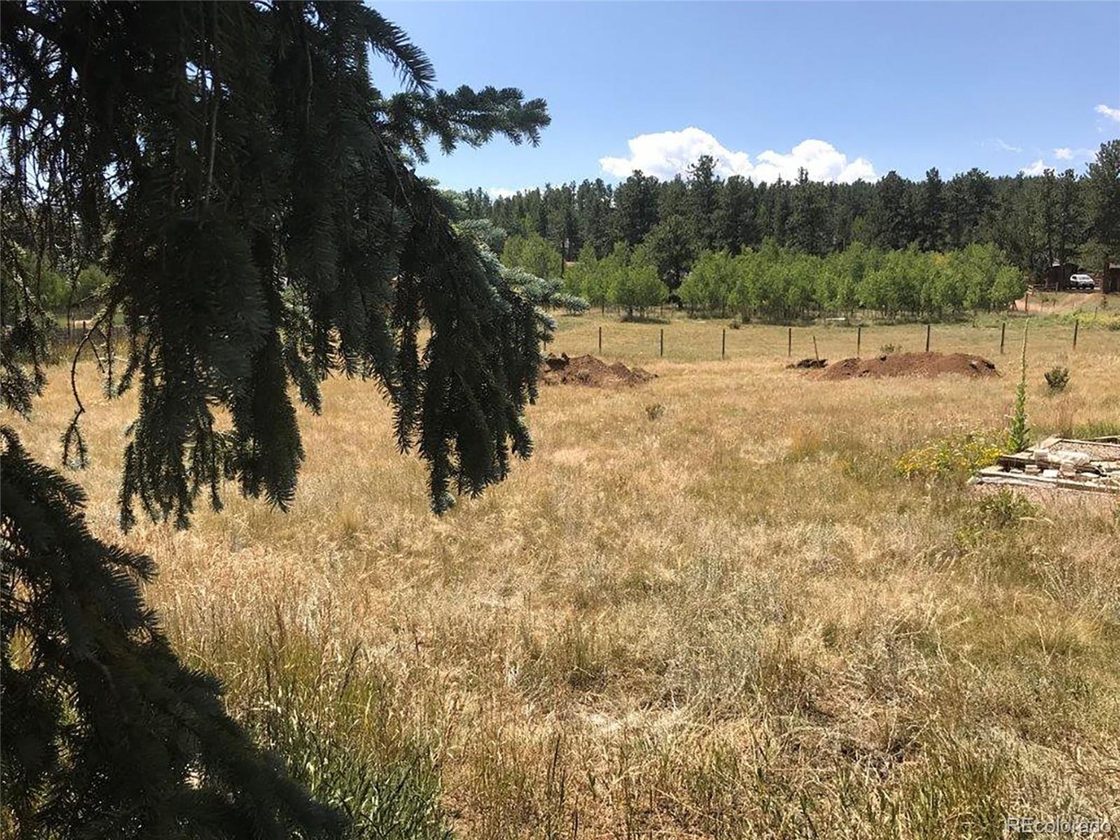 354 Neal Road Bailey, CO 80421 - Photo 16 of 19 a view of outdoor space yard and mountain