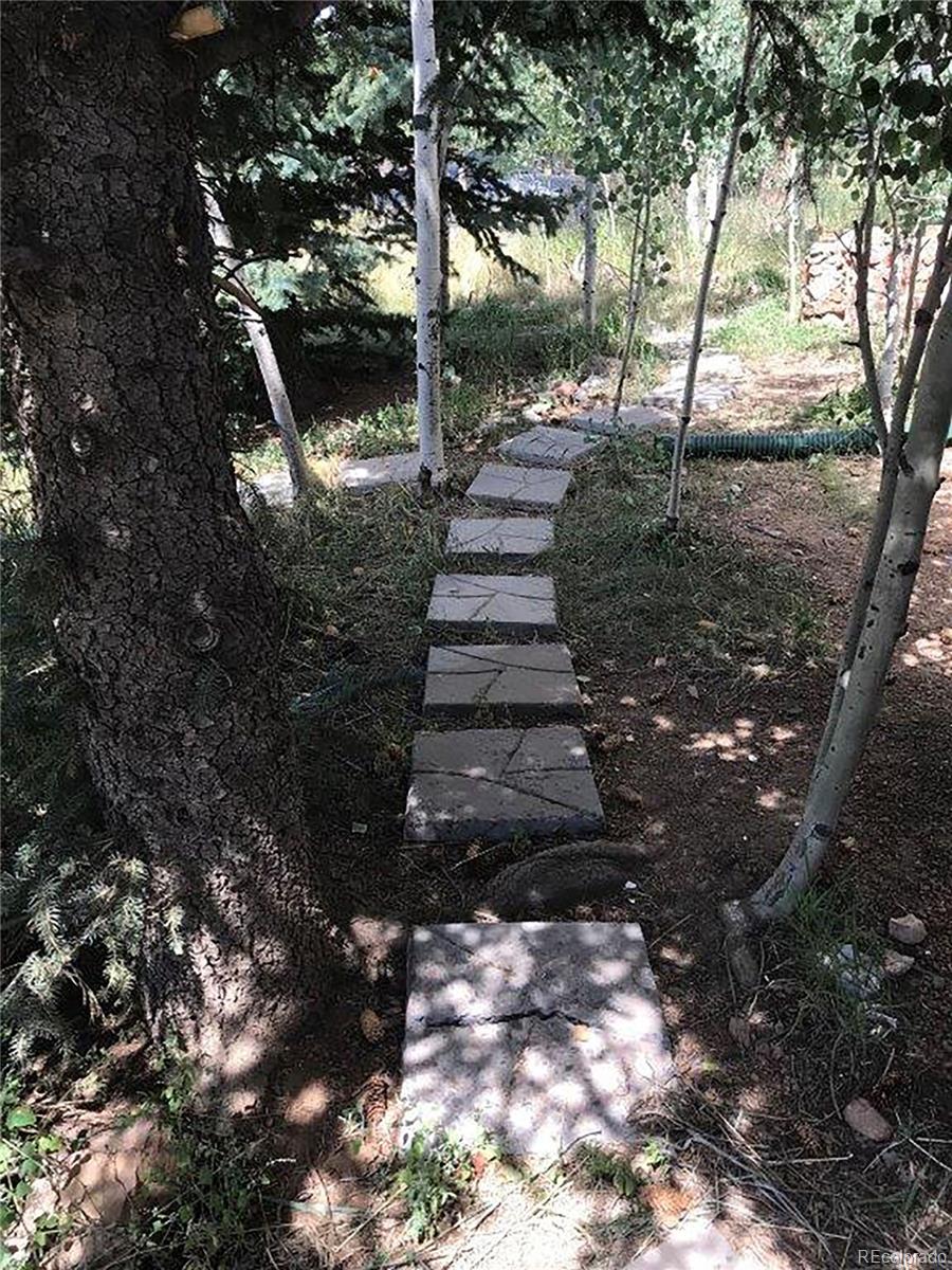 354 Neal Road Bailey, CO 80421 - Photo 17 of 19 a view of a yard with plants and a large tree