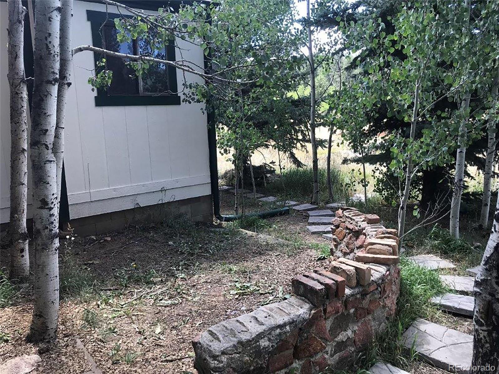 354 Neal Road Bailey, CO 80421 - Photo 19 of 19 a view of a backyard with trees