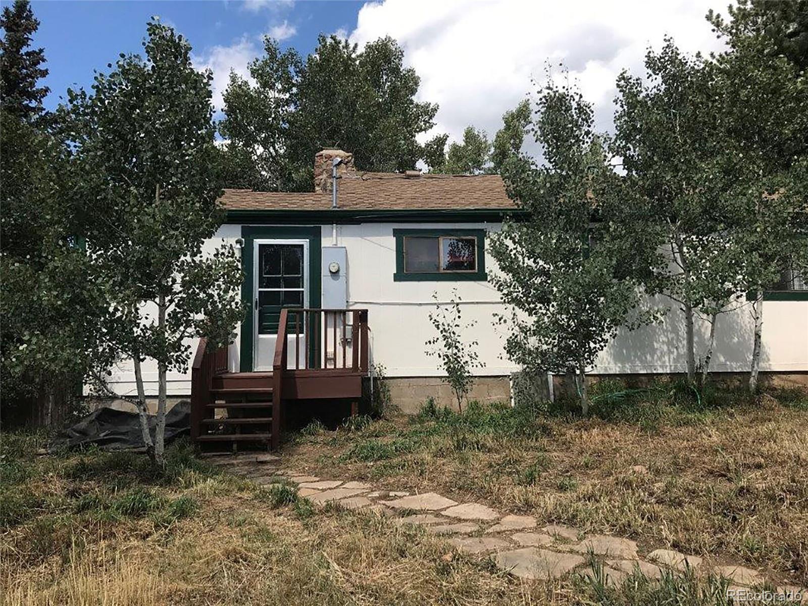 354 Neal Road Bailey, CO 80421 - Photo 3 of 19 a view of a house with a yard