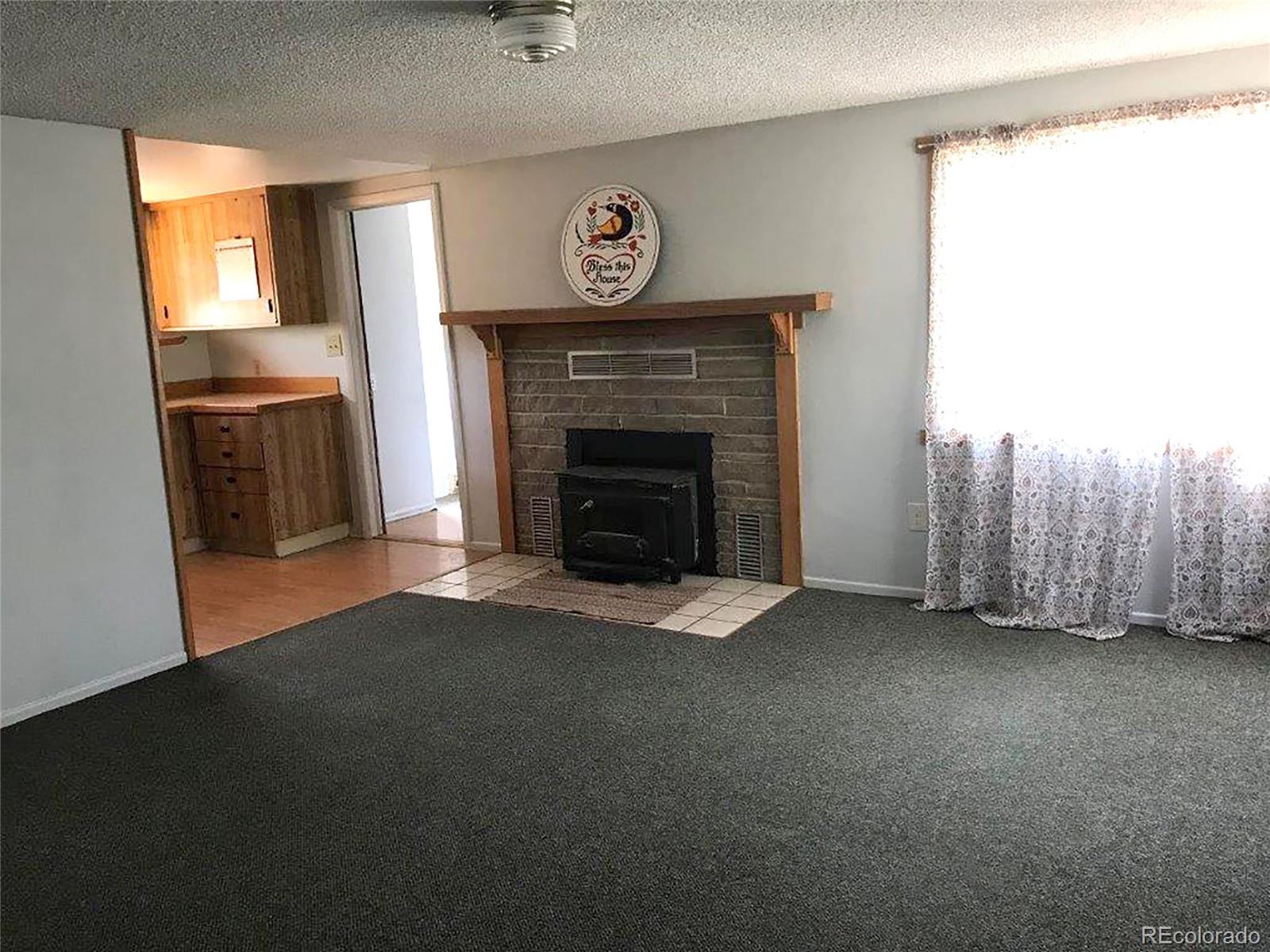 354 Neal Road Bailey, CO 80421 - Photo 6 of 19 a view of empty room with fireplace and window