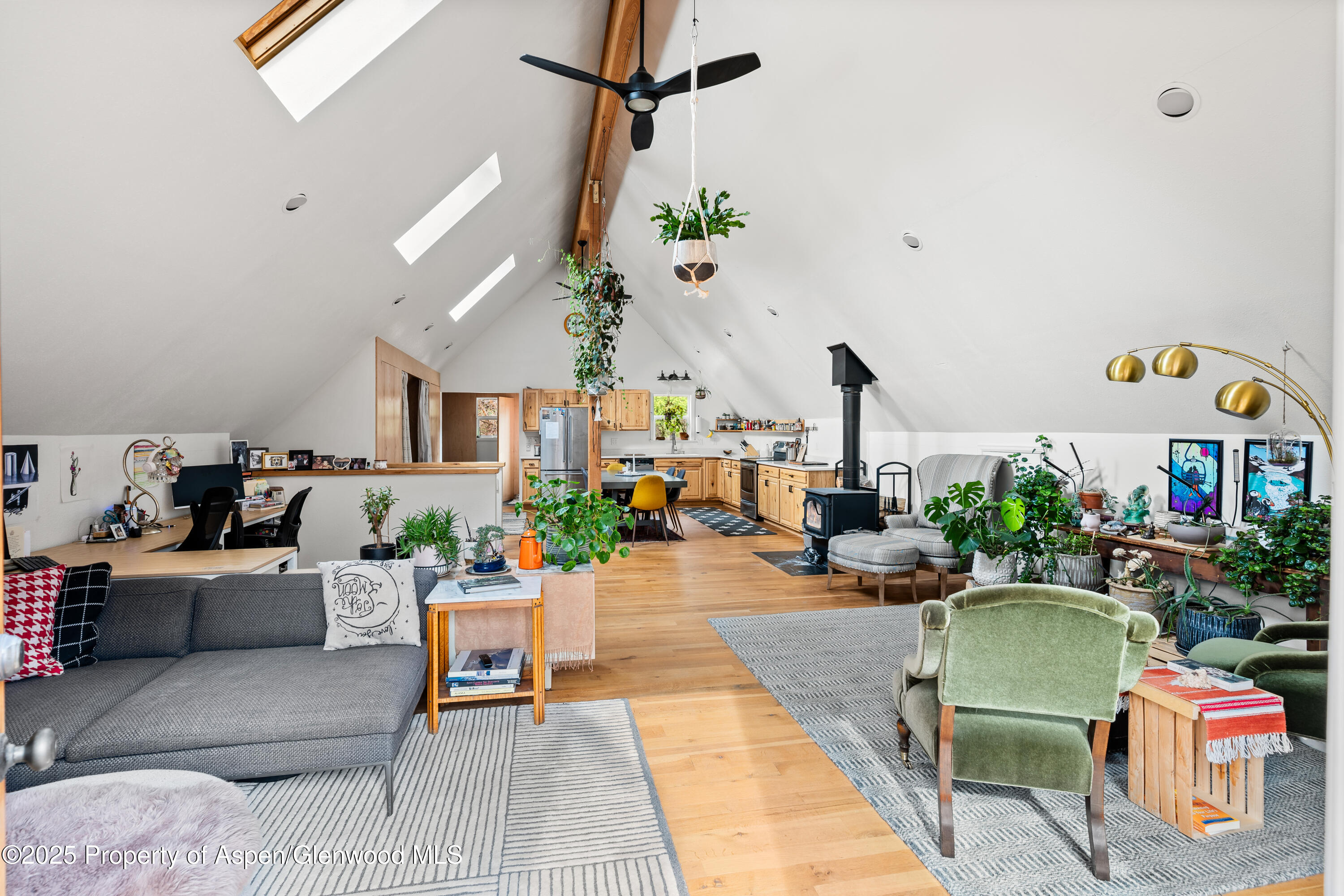 189 Ute Trail Carbondale, CO 81623 - Photo 23 of 76 29-189UteTrl_25033101