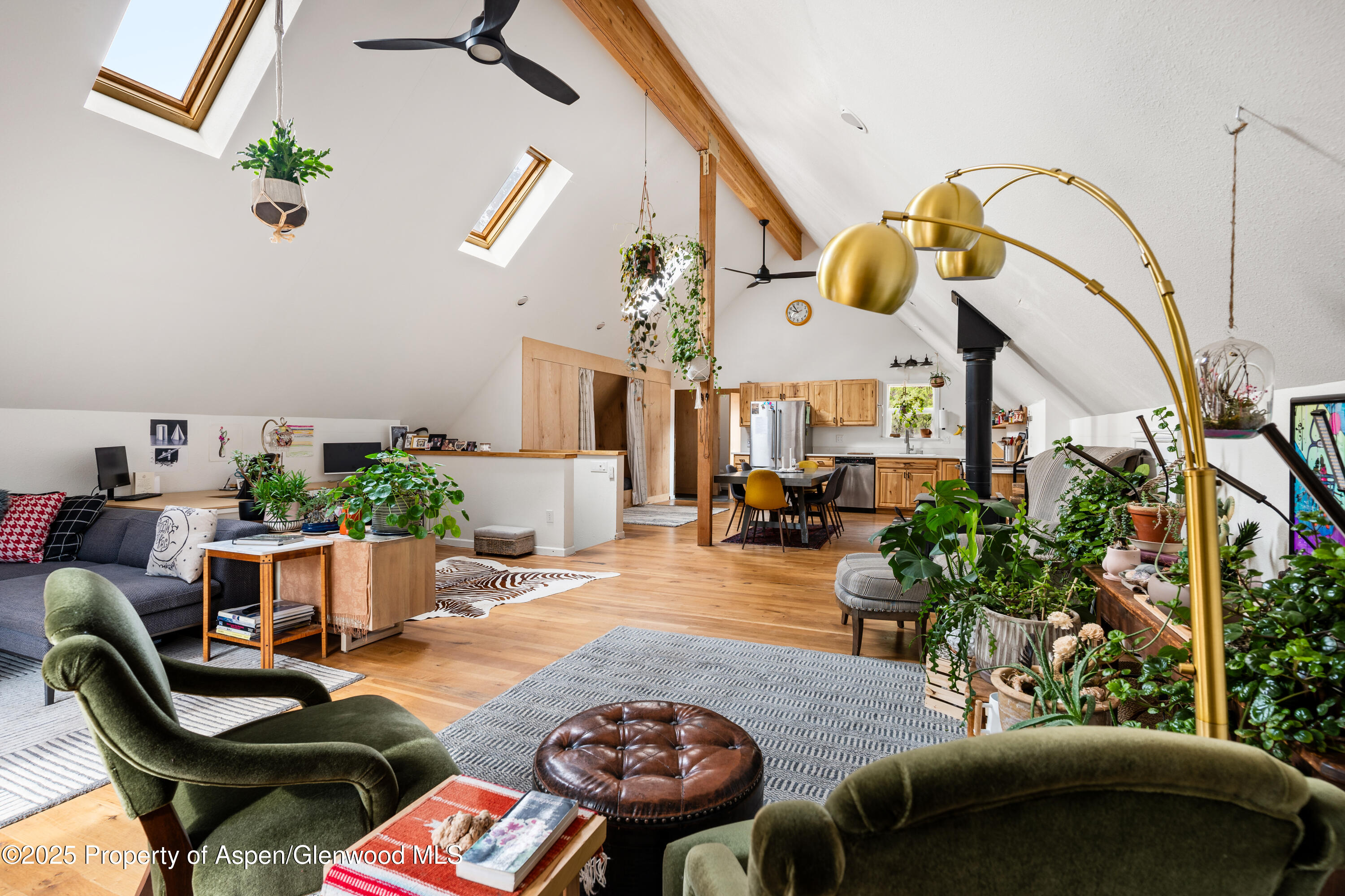 189 Ute Trail Carbondale, CO 81623 - Photo 24 of 76 30-189UteTrl_25033102