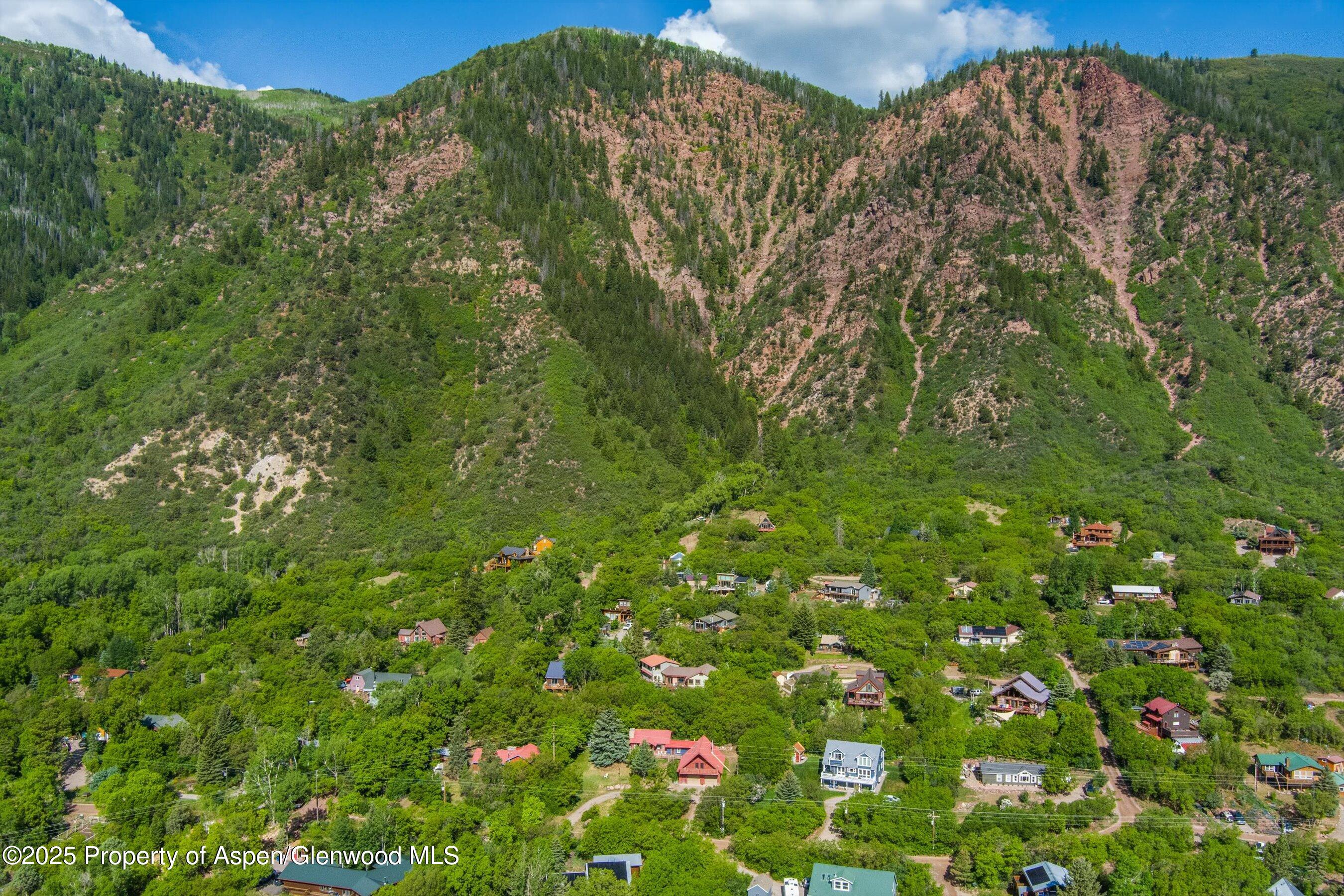 189 Ute Trail Carbondale, CO 81623 - Photo 65 of 76 a view of a lush green forest