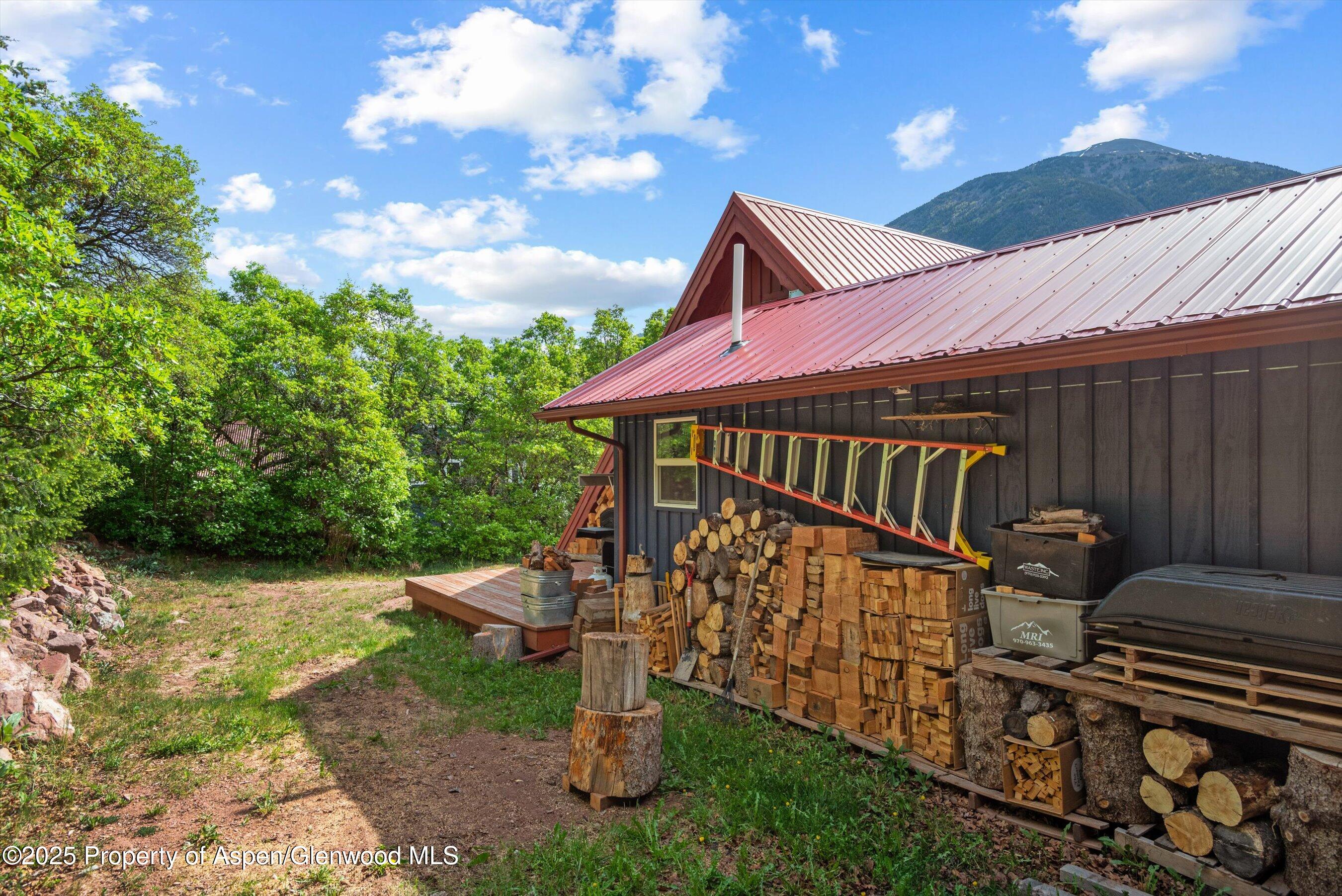 189 Ute Trail Carbondale, CO 81623 - Photo 10 of 76 64-189UteTr_250529003