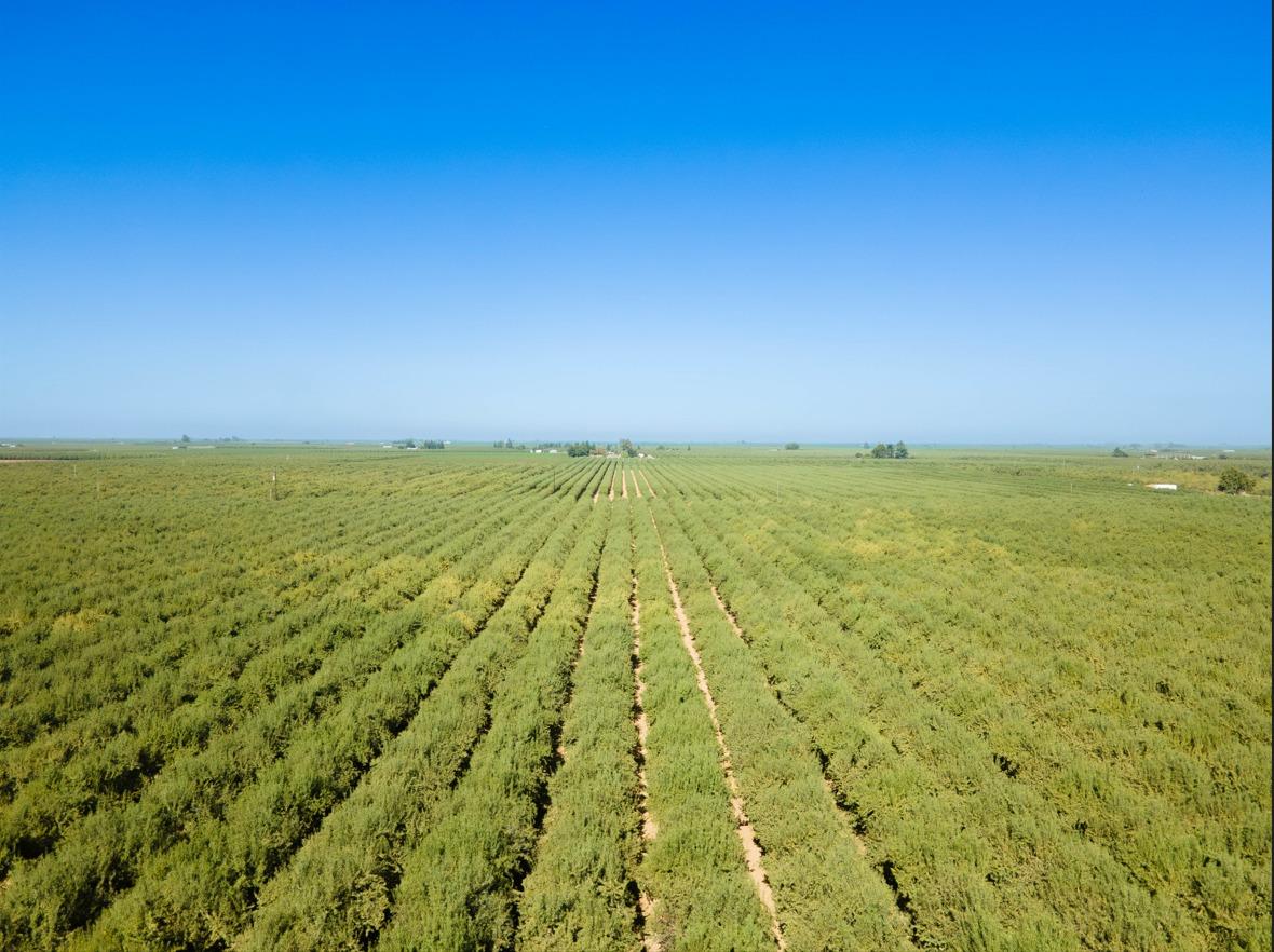 233 Road 21 Madera, CA 93637 - Photo 2 of 5 a view of an ocean