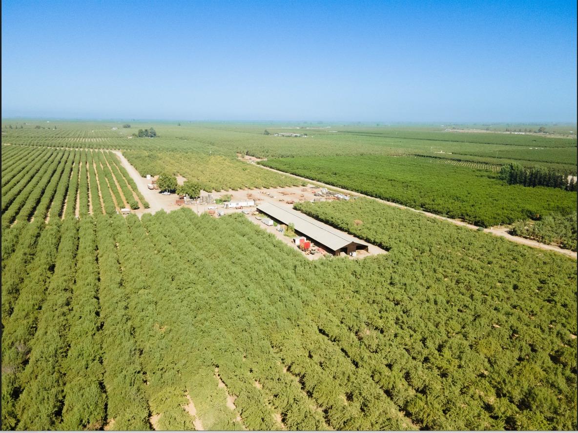 233 Road 21 Madera, CA 93637 - Photo 3 of 5