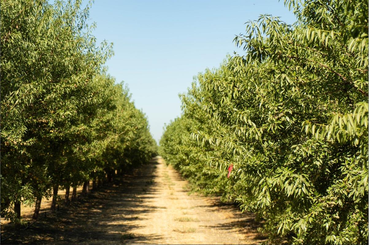 233 Road 21 Madera, CA 93637 - Photo 5 of 5 a view of lake