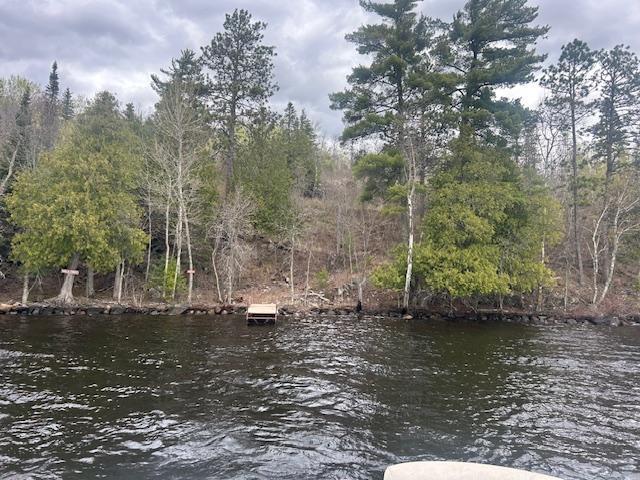 95642 Pine Island Tower, MN 55790 - Photo 8 of 14
